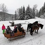 Strefa Ciszy -lawenda * Świeradów-Zdrój