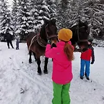 Strefa Ciszy -lawenda