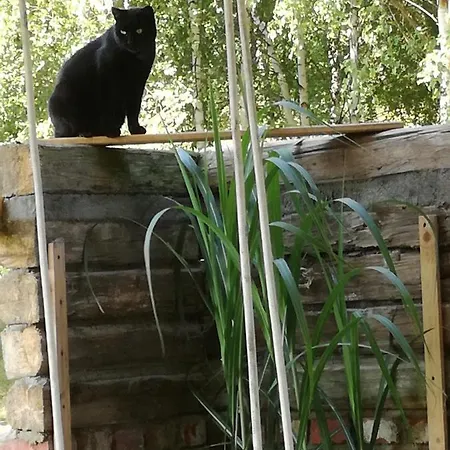 Lejlighed Strefa Ciszy -lawenda *