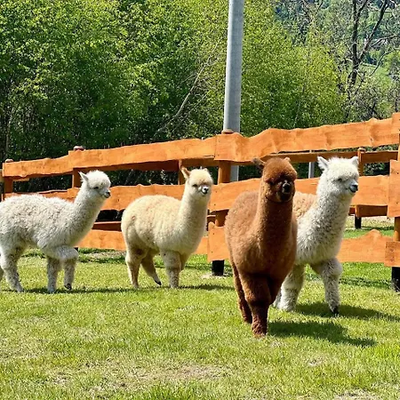 Lejlighed Strefa Ciszy -lawenda *