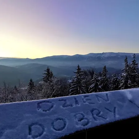 Strefa Ciszy -lawenda