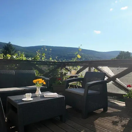 Strefa Ciszy -lawenda *