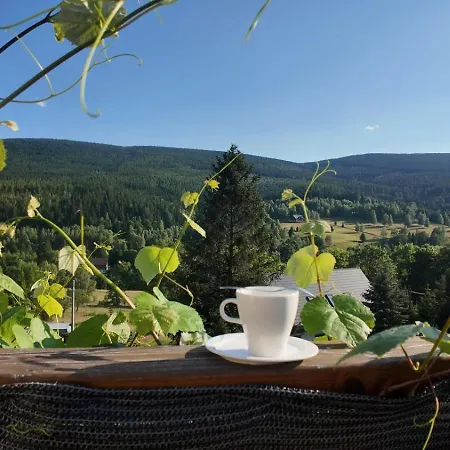 Strefa Ciszy -lawenda