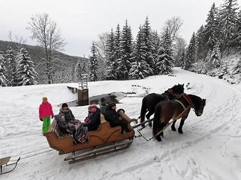 Strefa Ciszy -lawenda * Сверадув-Здруй