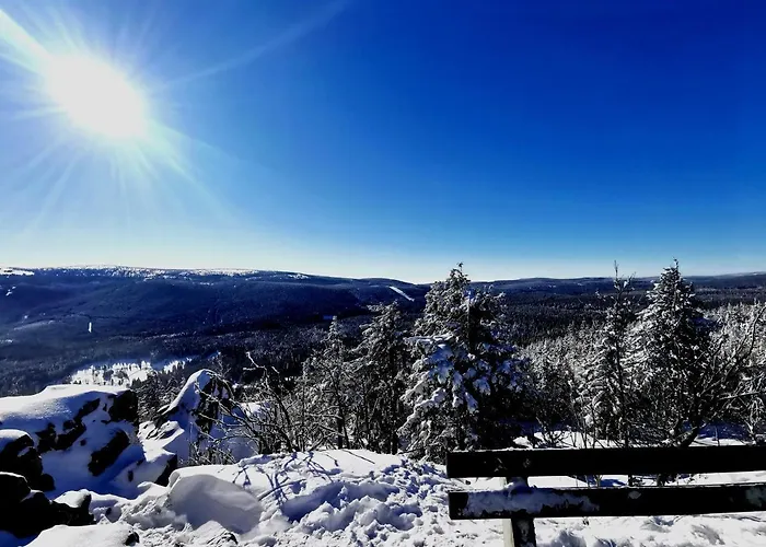 Strefa Ciszy -lawenda Сверадув-Здруй