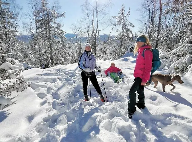 Strefa Ciszy -lawenda Appartamento *