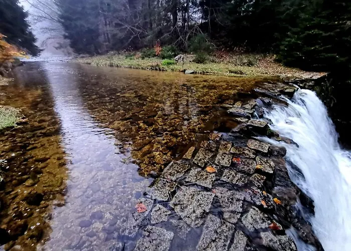 Апартаменты Strefa Ciszy -lawenda Сверадув-Здруй