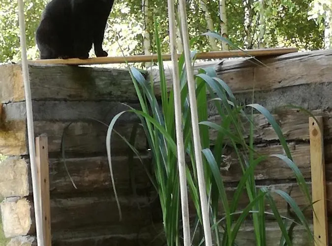 Appartamento Strefa Ciszy -lawenda *