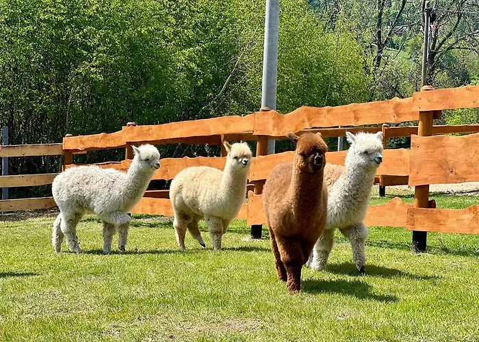 Appartamento Strefa Ciszy -lawenda *