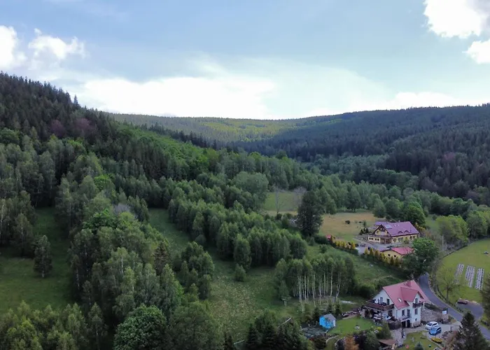 Strefa Ciszy -lawenda Świeradów-Zdrój