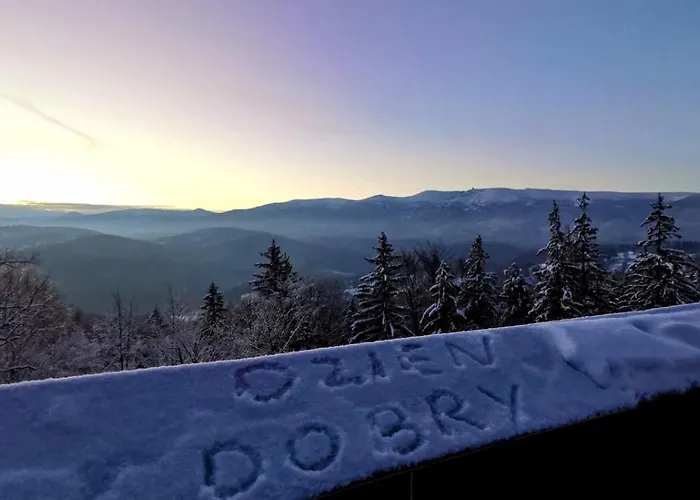 Strefa Ciszy -lawenda