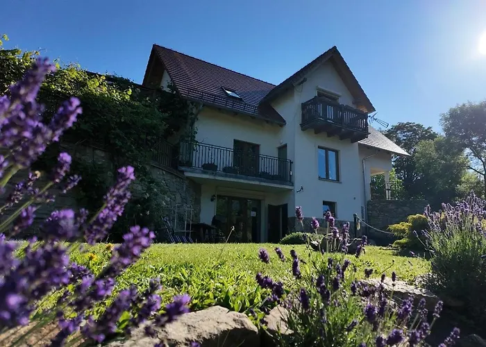 Апартаменты Strefa Ciszy -lawenda