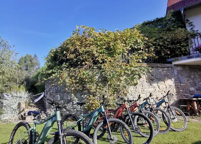 Strefa Ciszy -lawenda Appartamento *