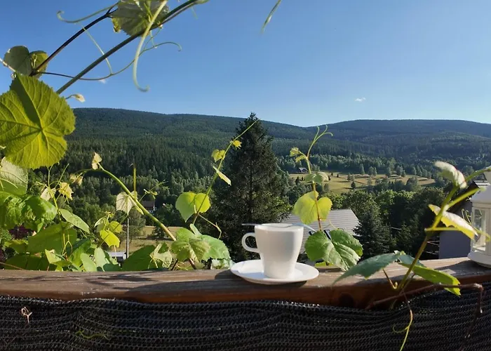 Strefa Ciszy -lawenda