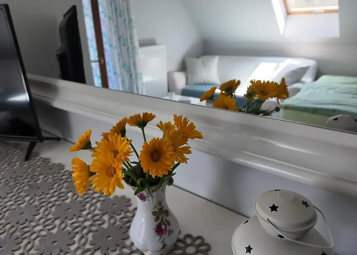 Strefa Ciszy -lawenda Апартаменты *